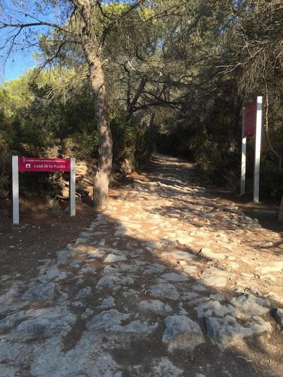 에스푸홀스 La Mundial Formentera 아파트 외부 사진